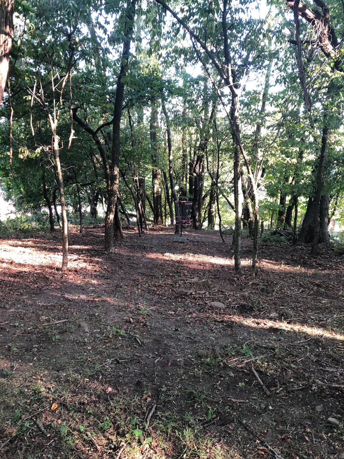 End of fairway on hole #3 looking left and slightly downhill at the basket.