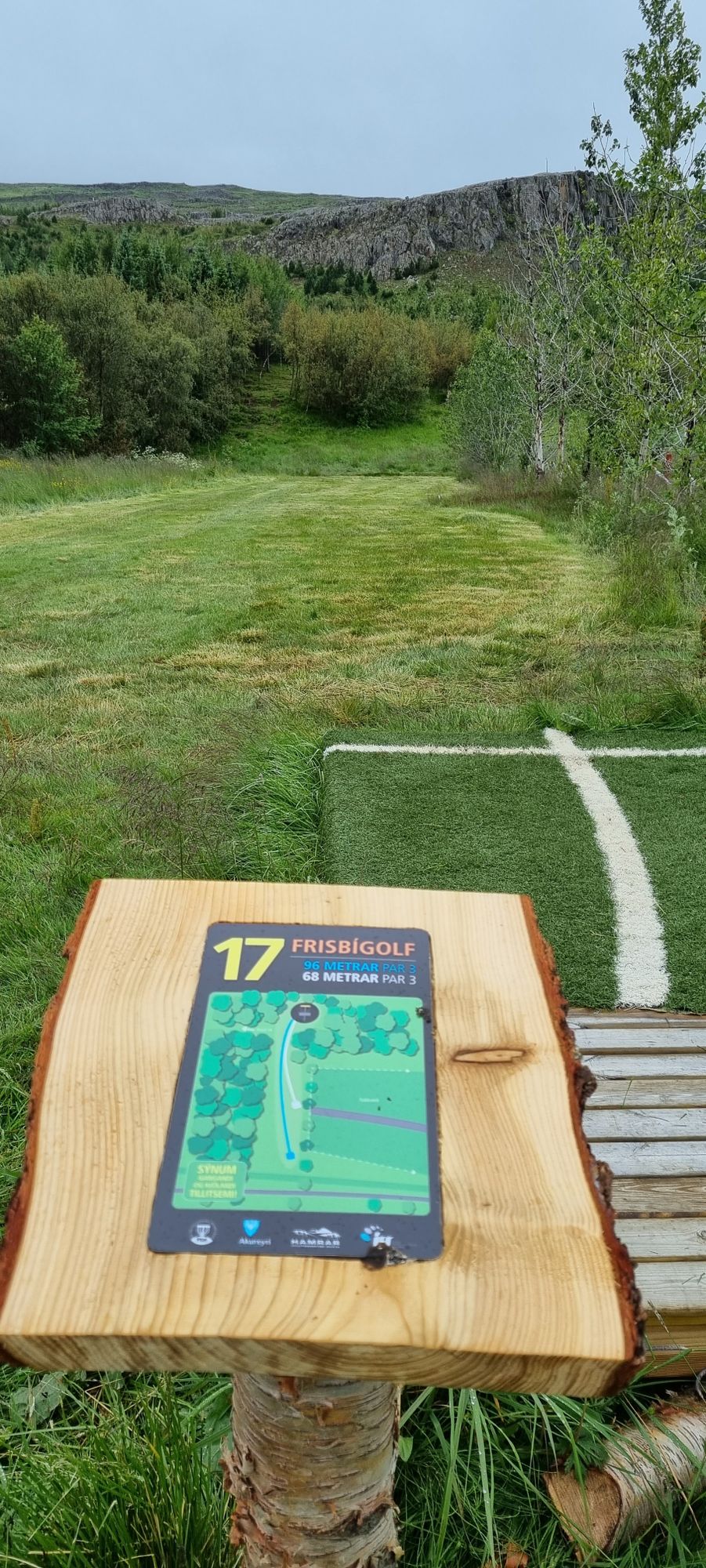 17.