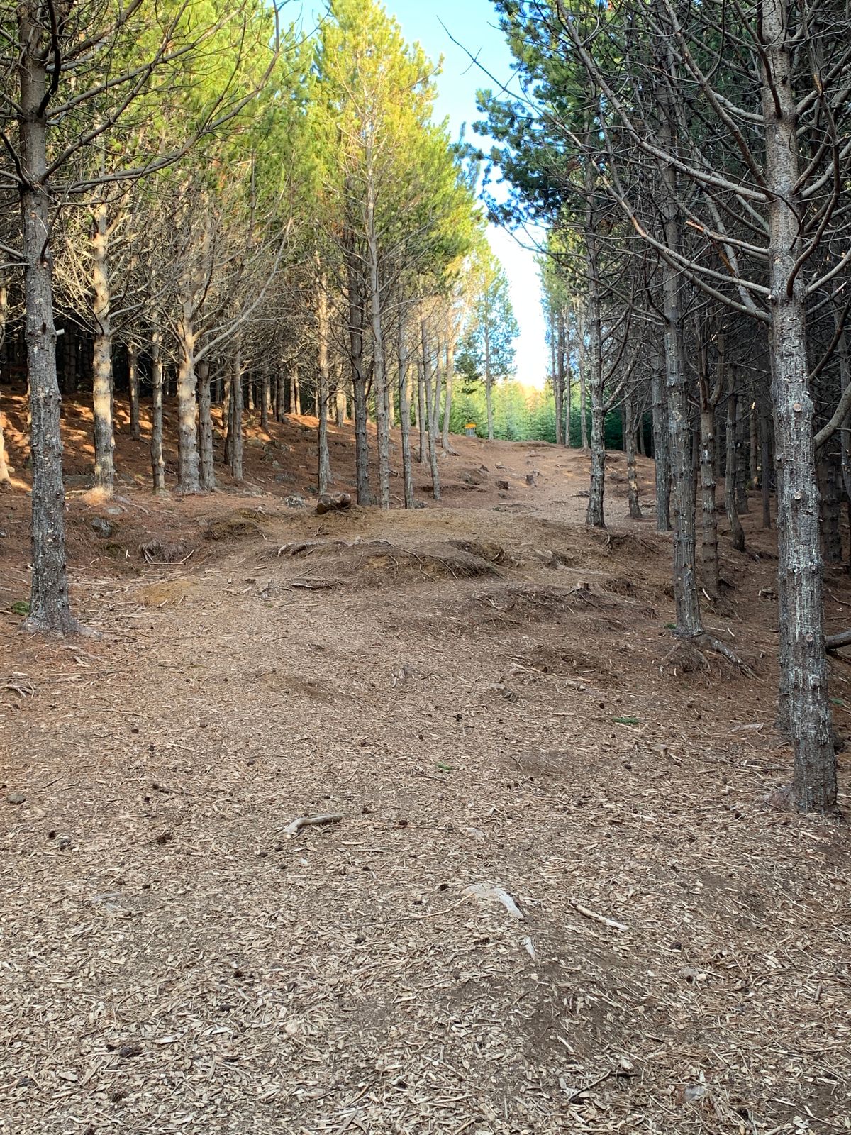 Uphill fairway hole 7