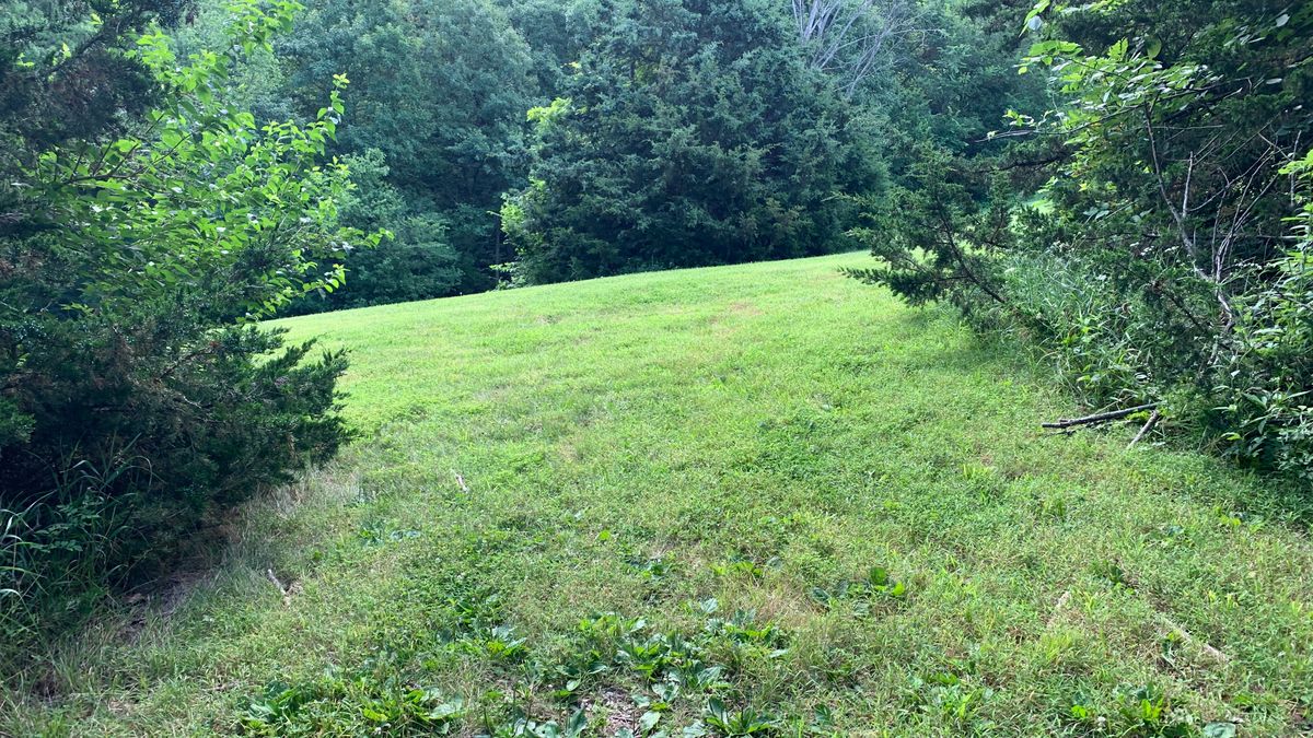 Hole 4