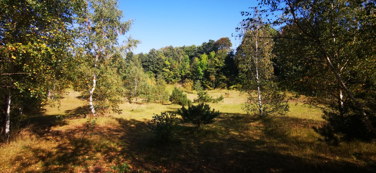 Tee hole 2