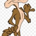 wyliecoyote89
