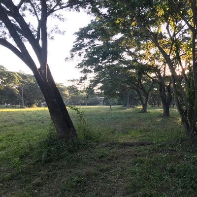 This is now hole 10. Slight tunnel wiggle shot.