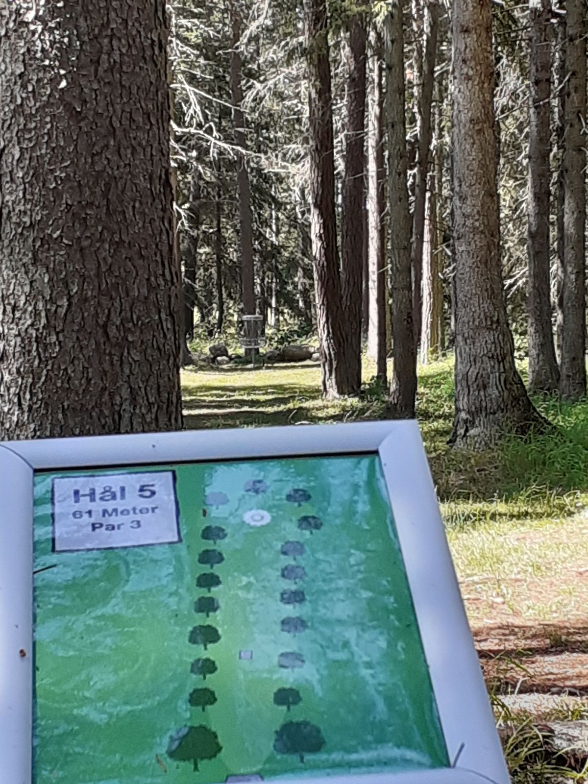 Trolsk skog!