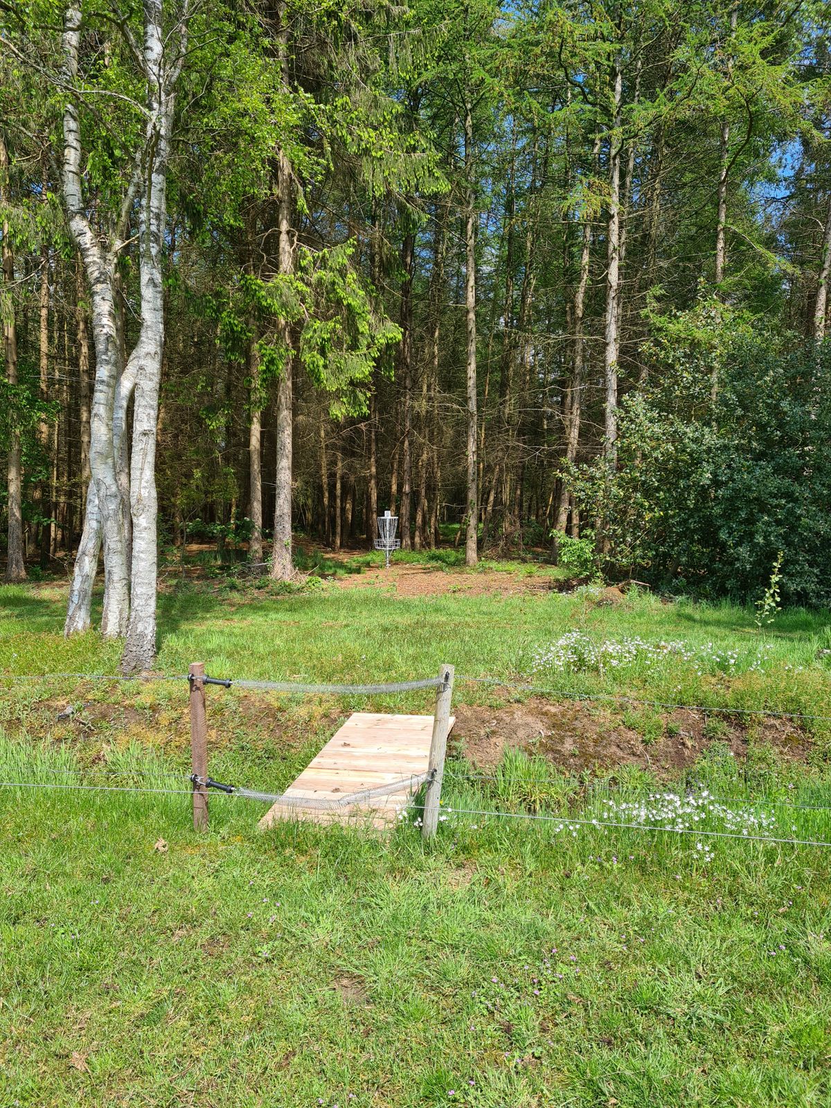 Basket hole 6