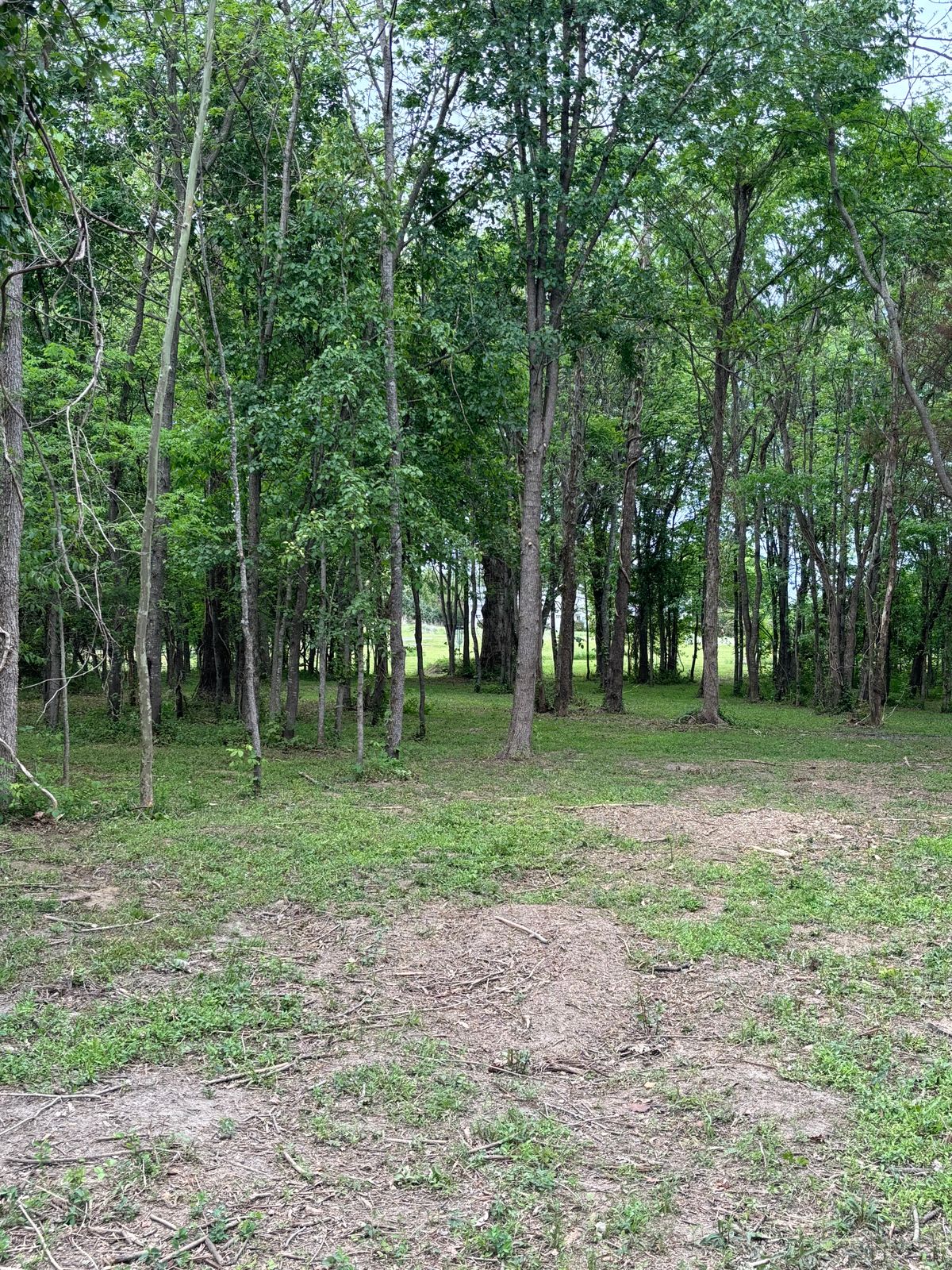 Hole 16
