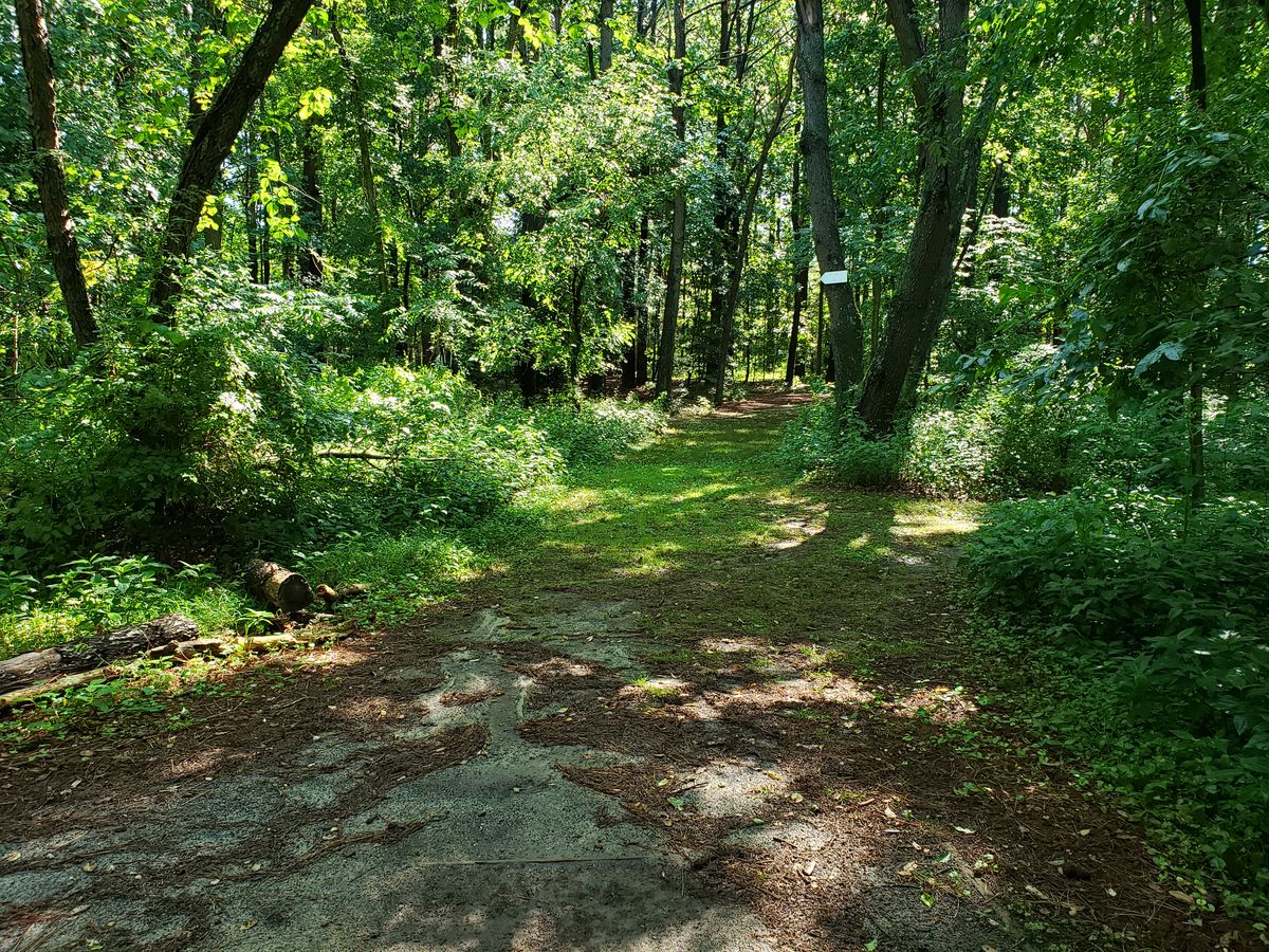Hole 12 White Tee