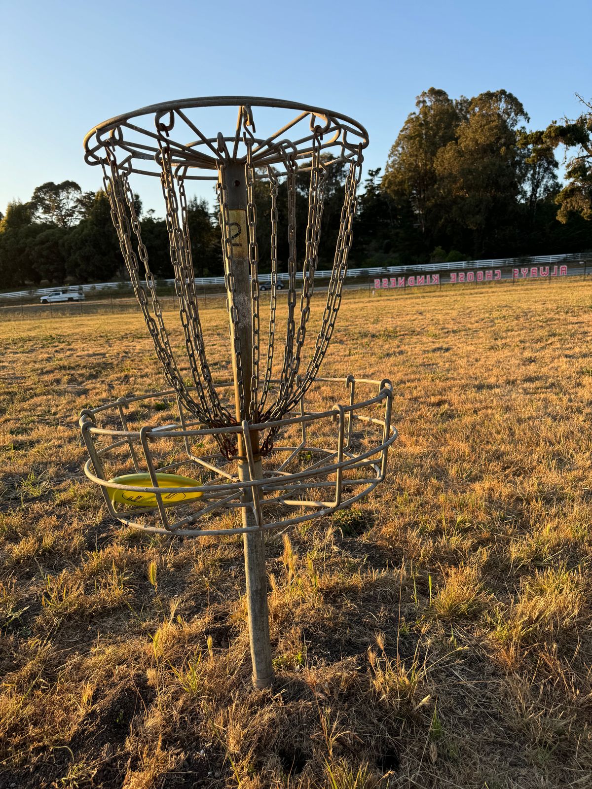 Hole 2’s basket looking at the road.