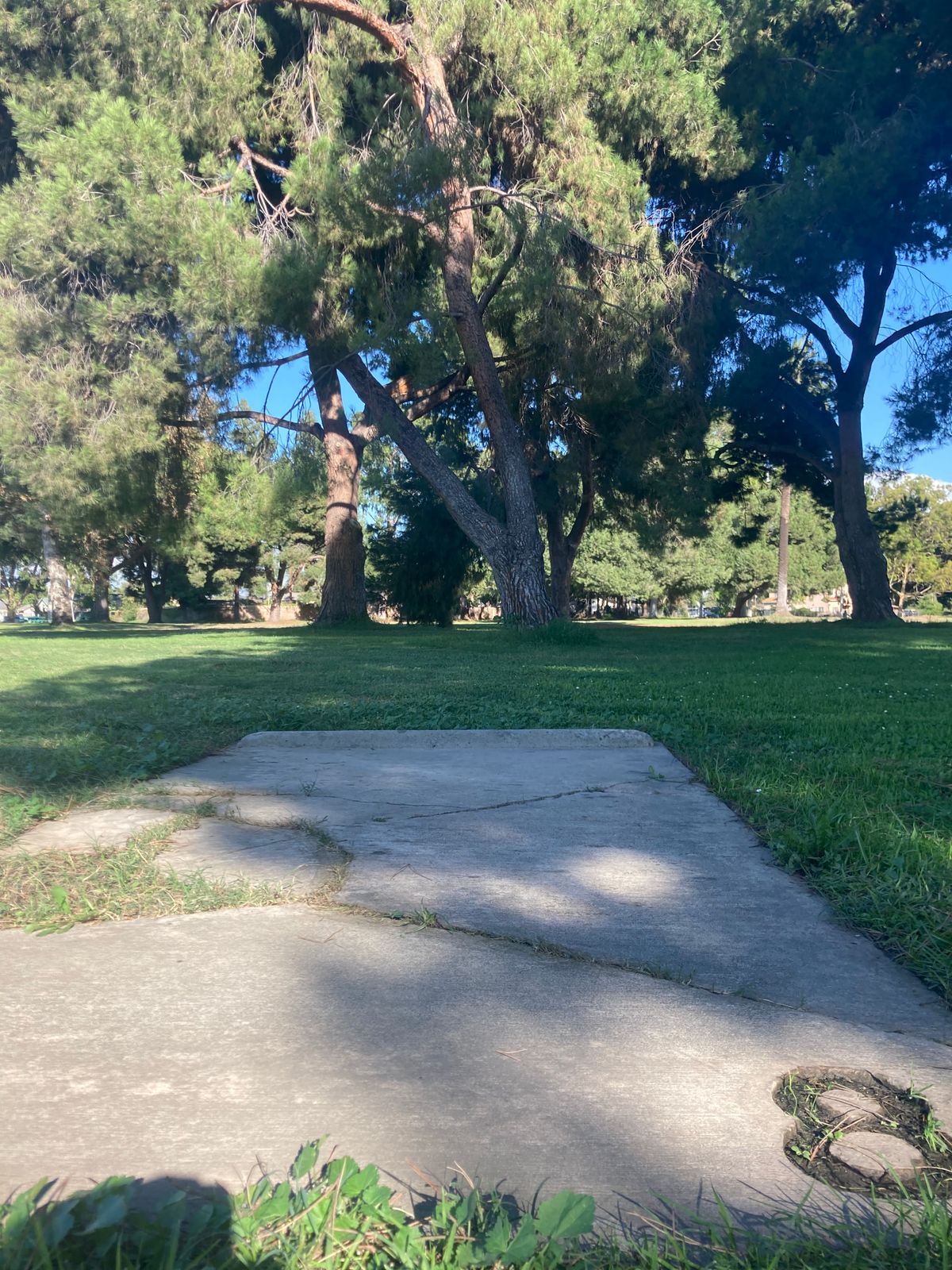 Original hole #8. Mach lI basket straight ahead behind trees