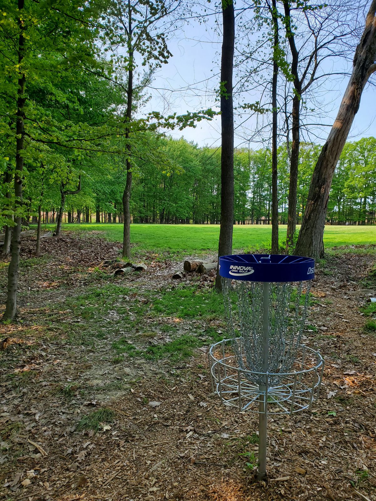 Basket to tee.
