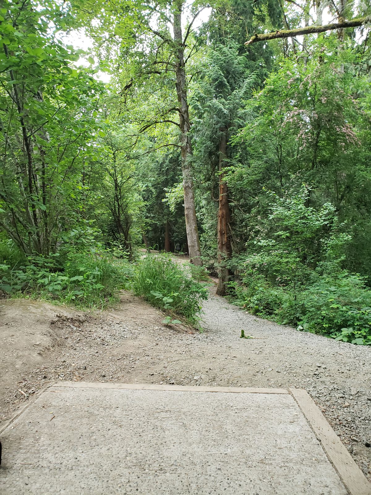 Hole 8
