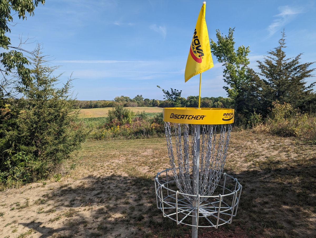 Long Basket