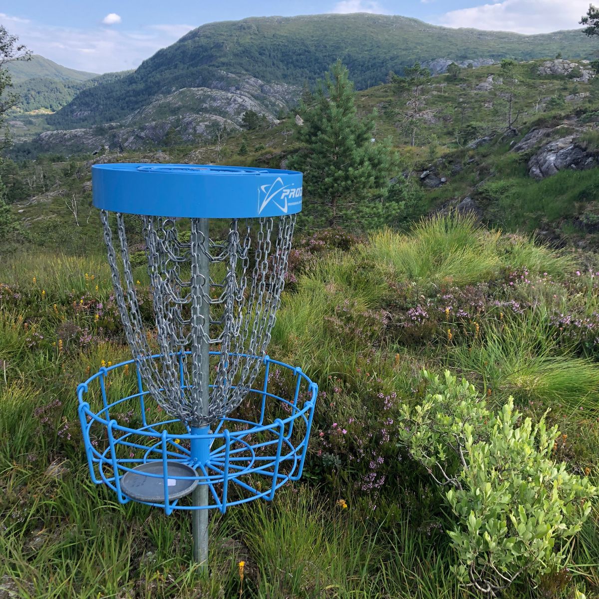 Basket with lovely scenery behinf