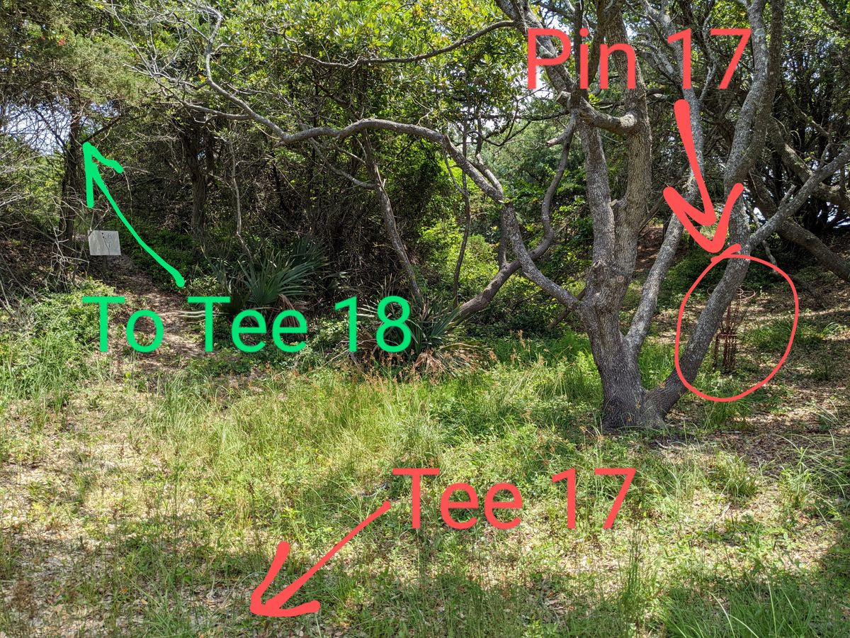 The path to 18 is on the left of the green just short of the hole. The hole for 18 is elevated. Don't throw to 16, which is right of pin 18