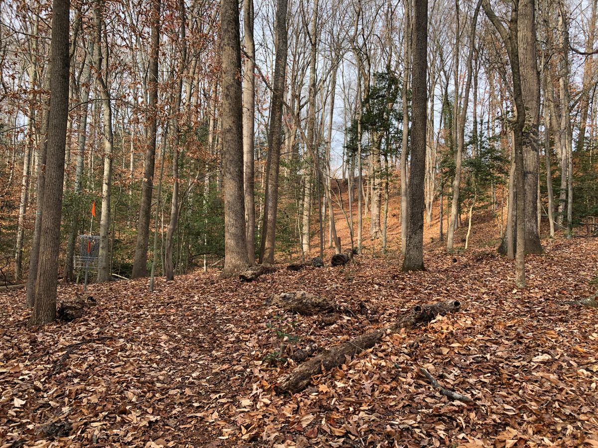 Hole 1 basket and green (looking uphill toward tee)