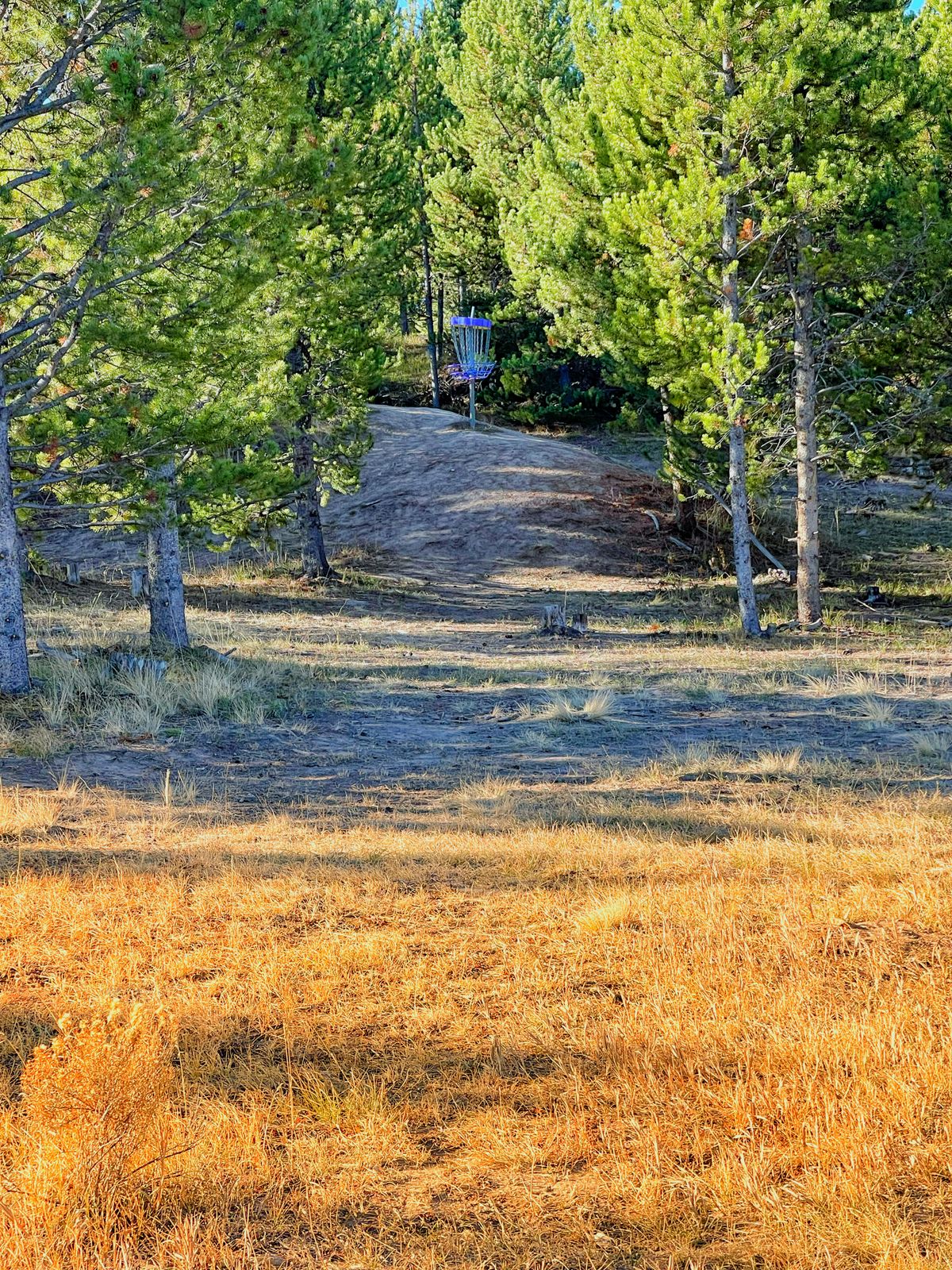 Finish gap on hole 5.