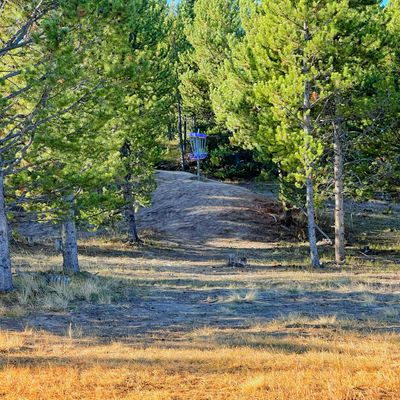 Finish gap on hole 5.