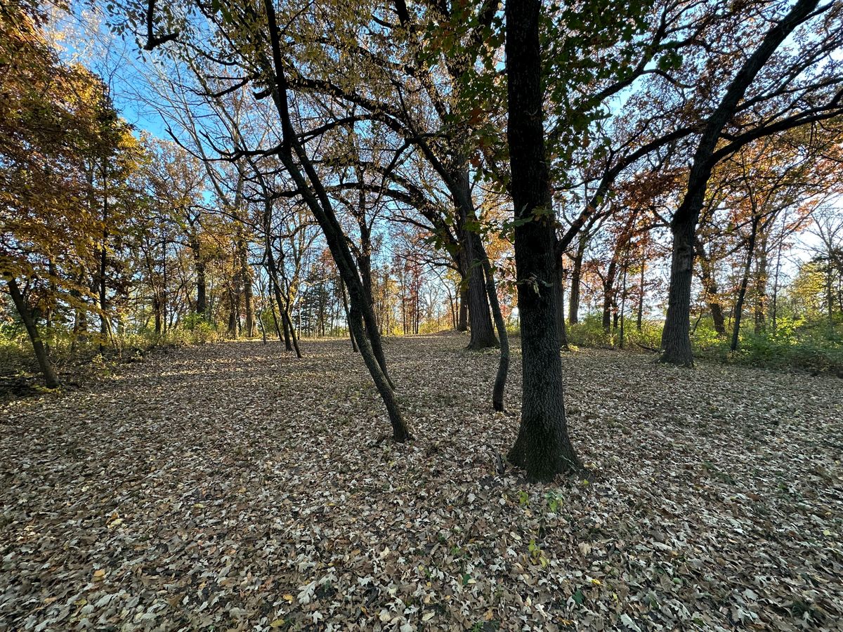 Hole 11 fairway