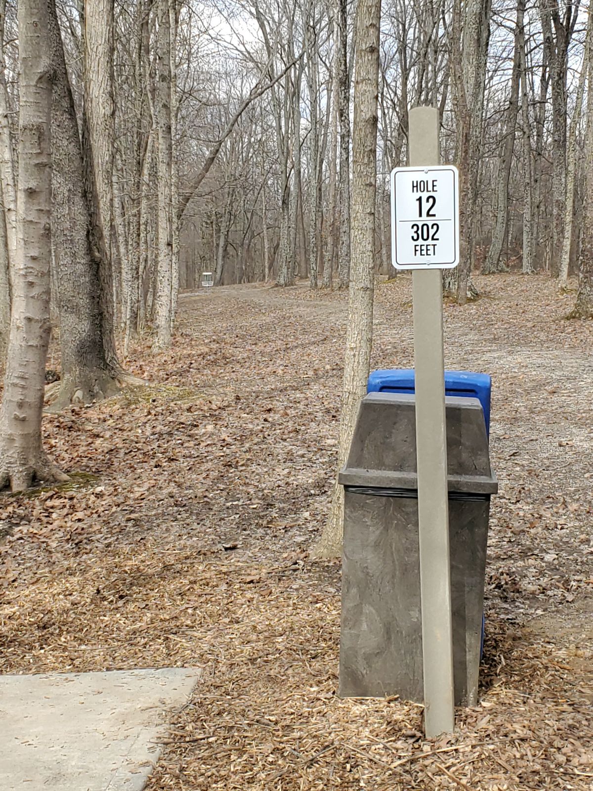 Hole 12 302ft