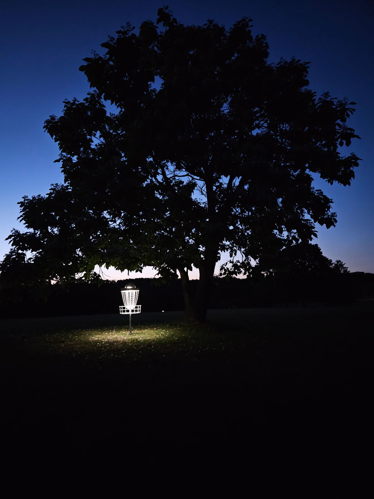 Hole 1 basket under the catalpa tree