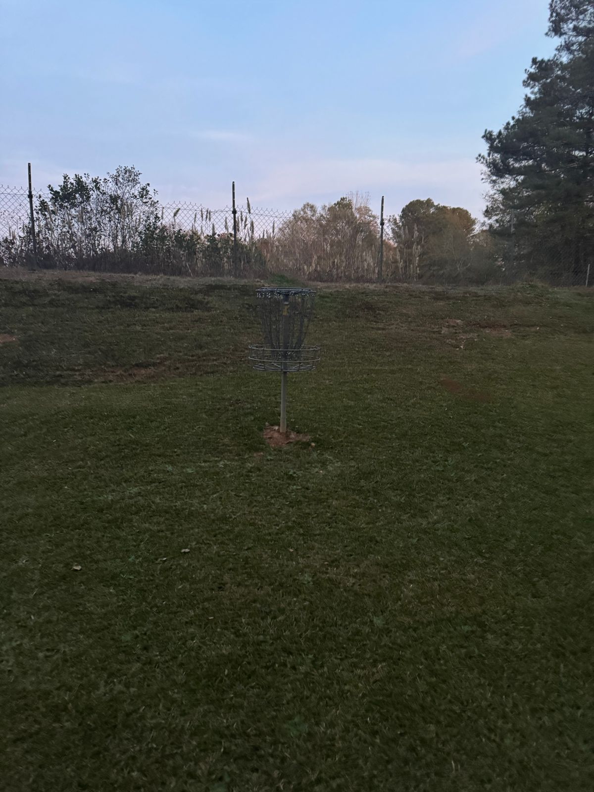 Hole 15 basket