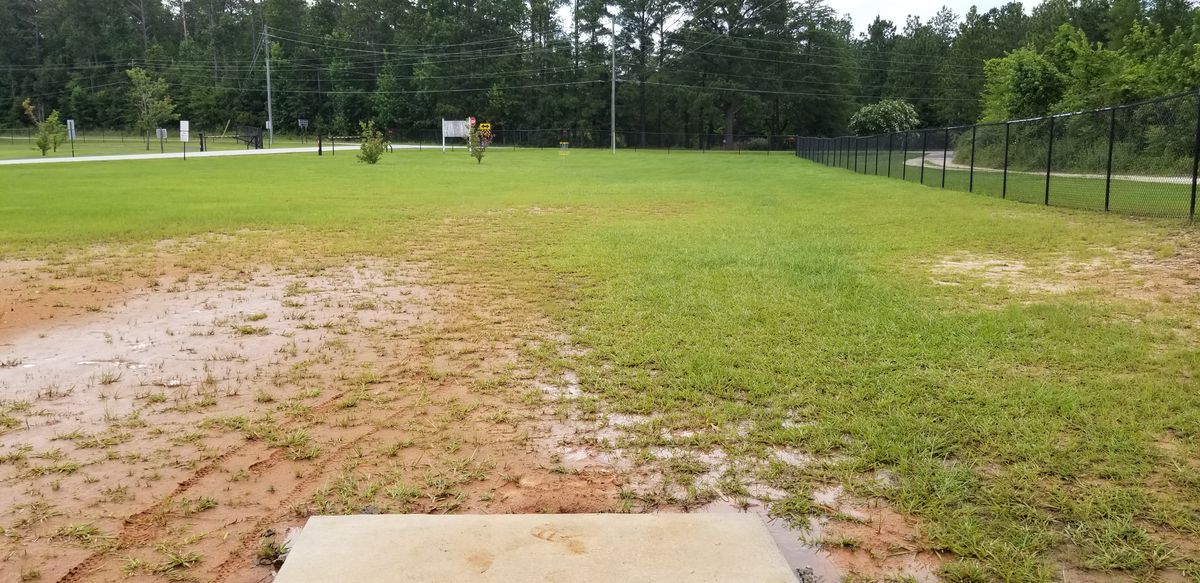 Tee 18. On your left as you enter the park. It gets wet along the right side when it rains.