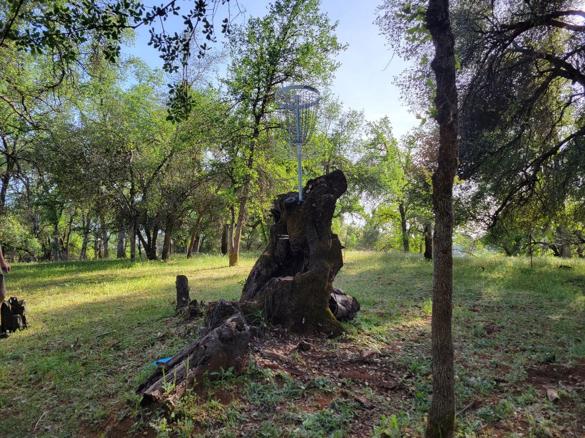 Hole 6 B Position