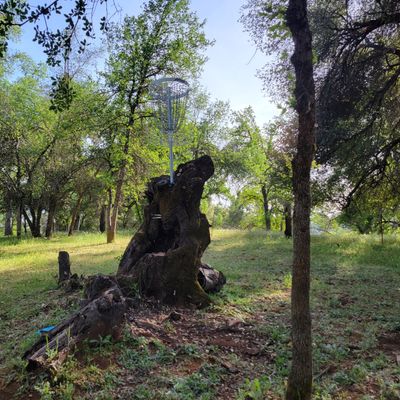 Hole 6 B Position