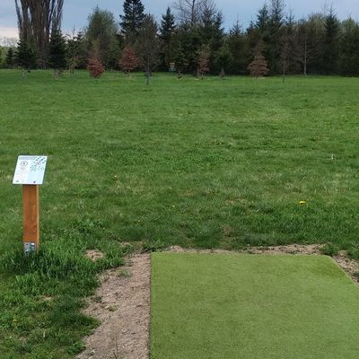 Hole 4