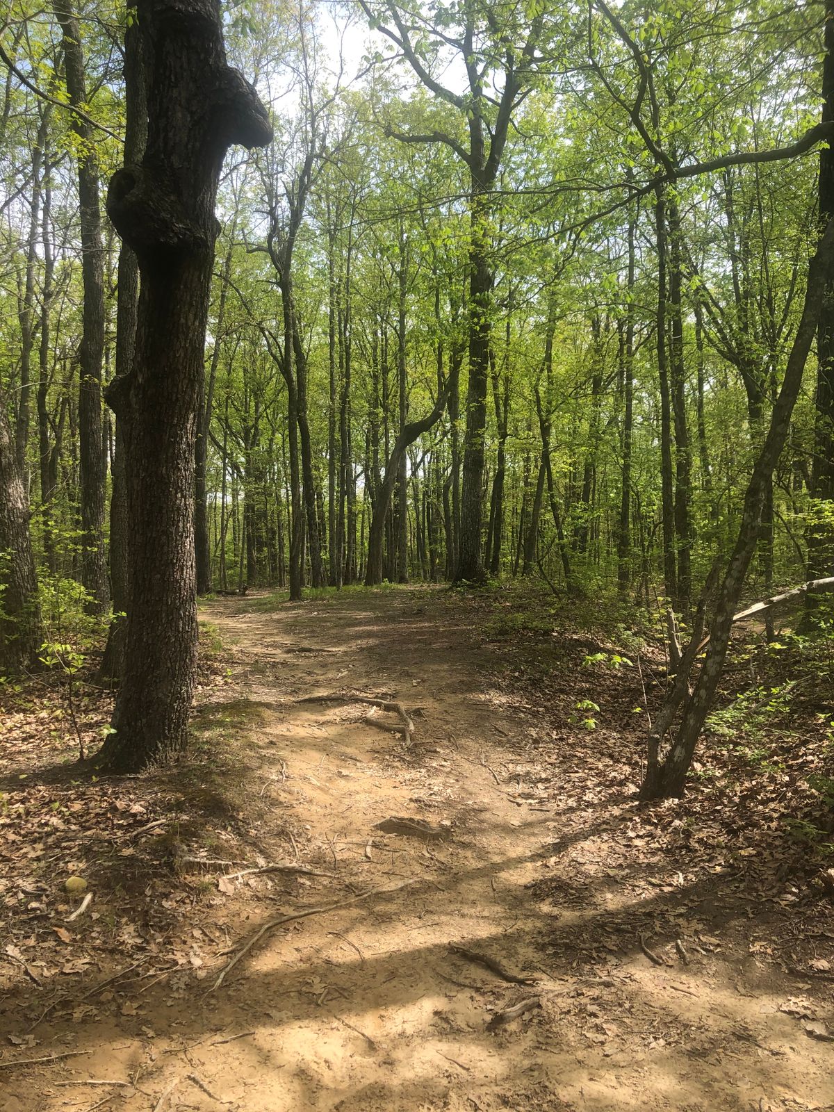 Hole 12