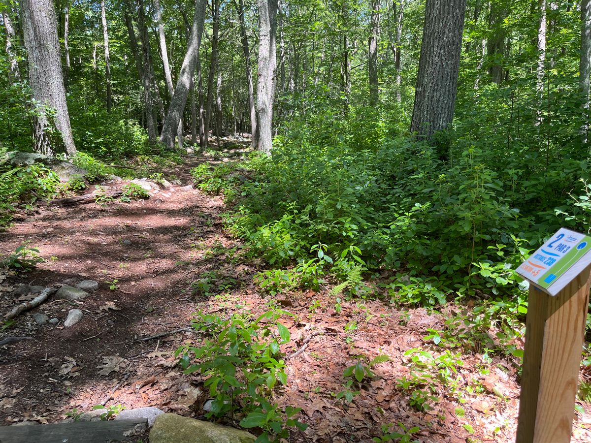 Hole 2