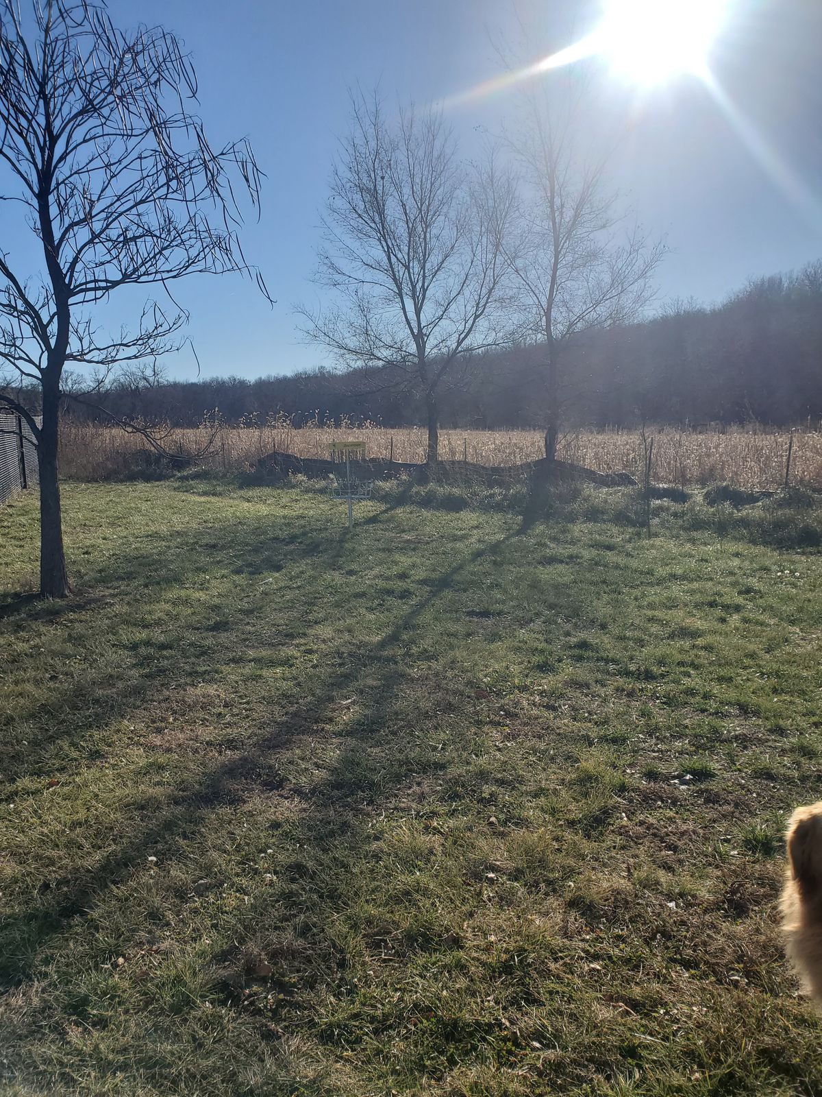 Hole 4