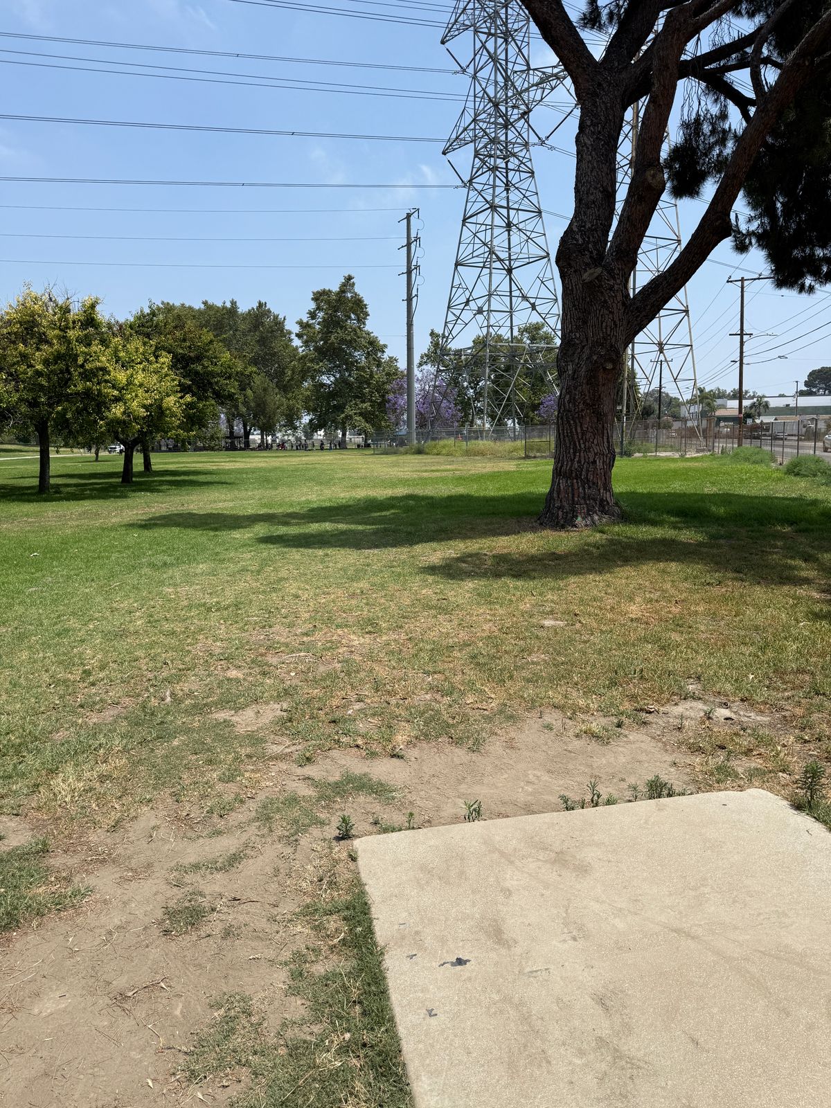 Hole 14 Tee