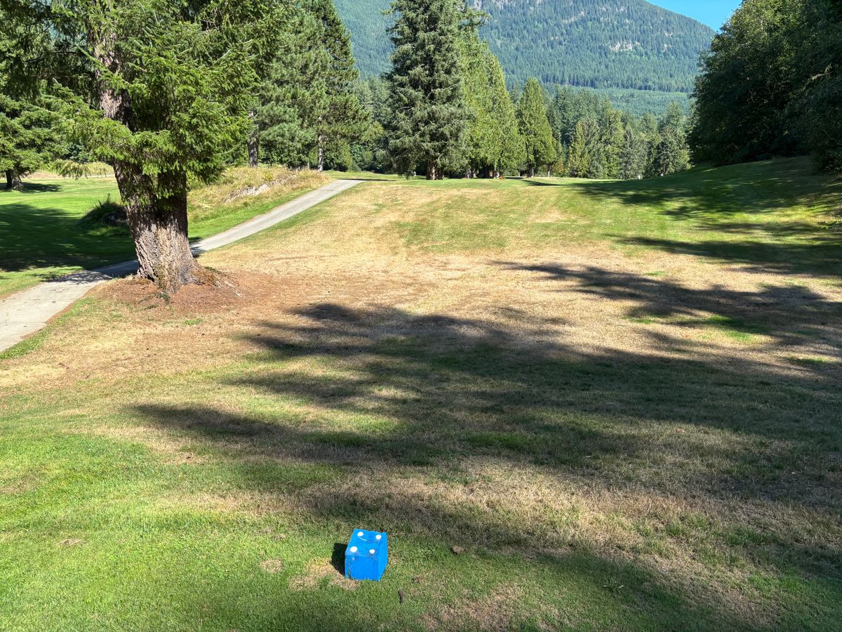 Hole 7 blue tee pad. Basket is behind far clump of trees on the left of the cart path.
