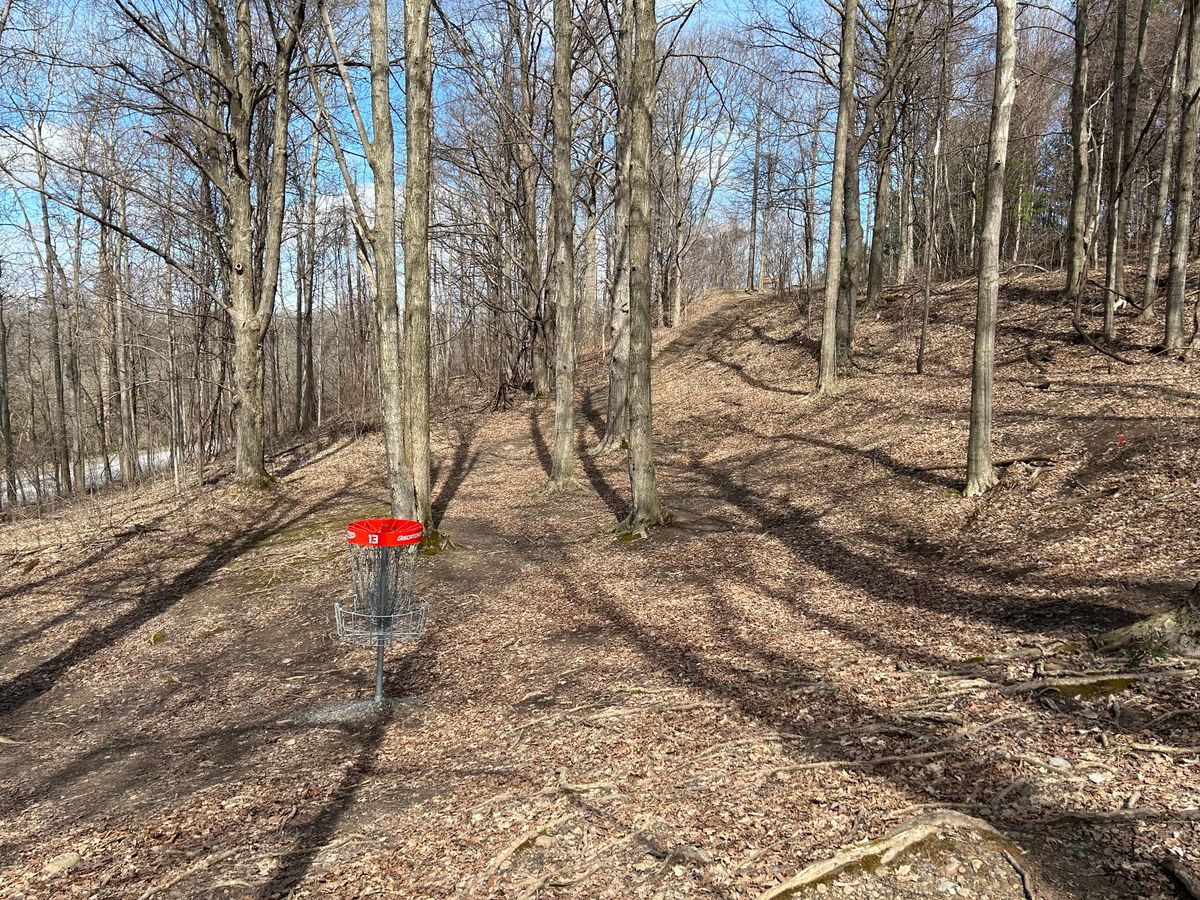 Lines are open in March