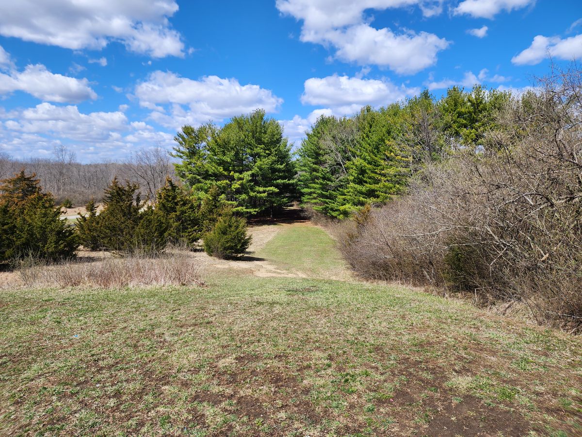 Hole 7