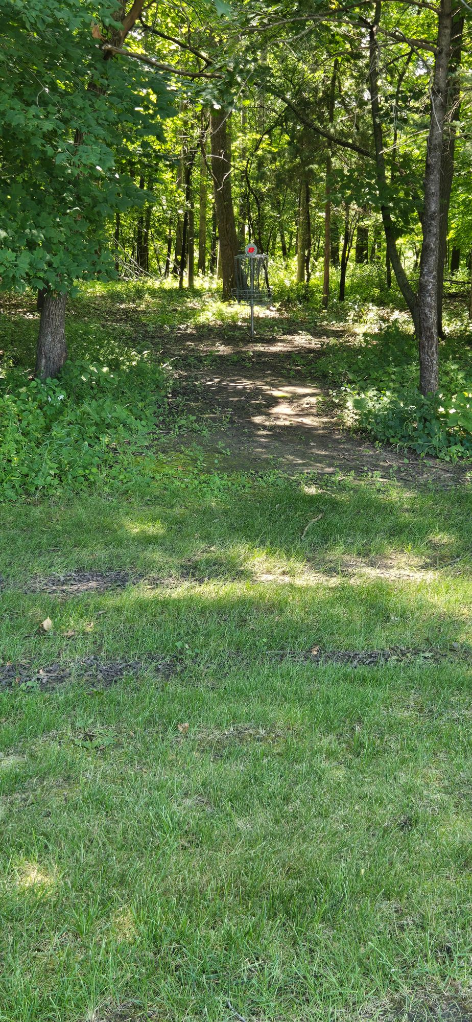 Hole 8