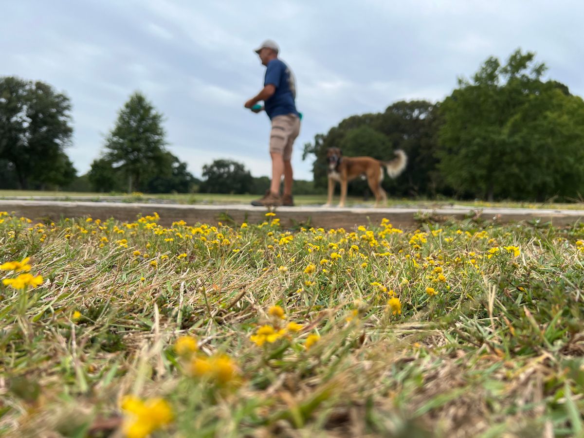 Disc golf is awesome with friends. And for making friends. My buddy Tom here found my disc.