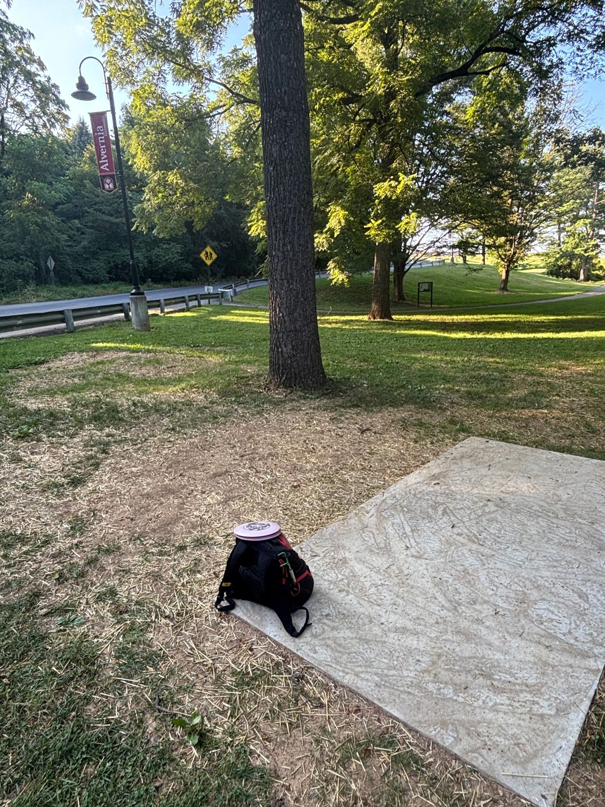 Prior tee on the other side of this tree