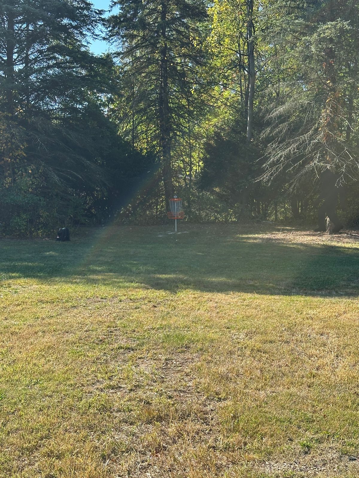 Hole 1 Fairway/Basket