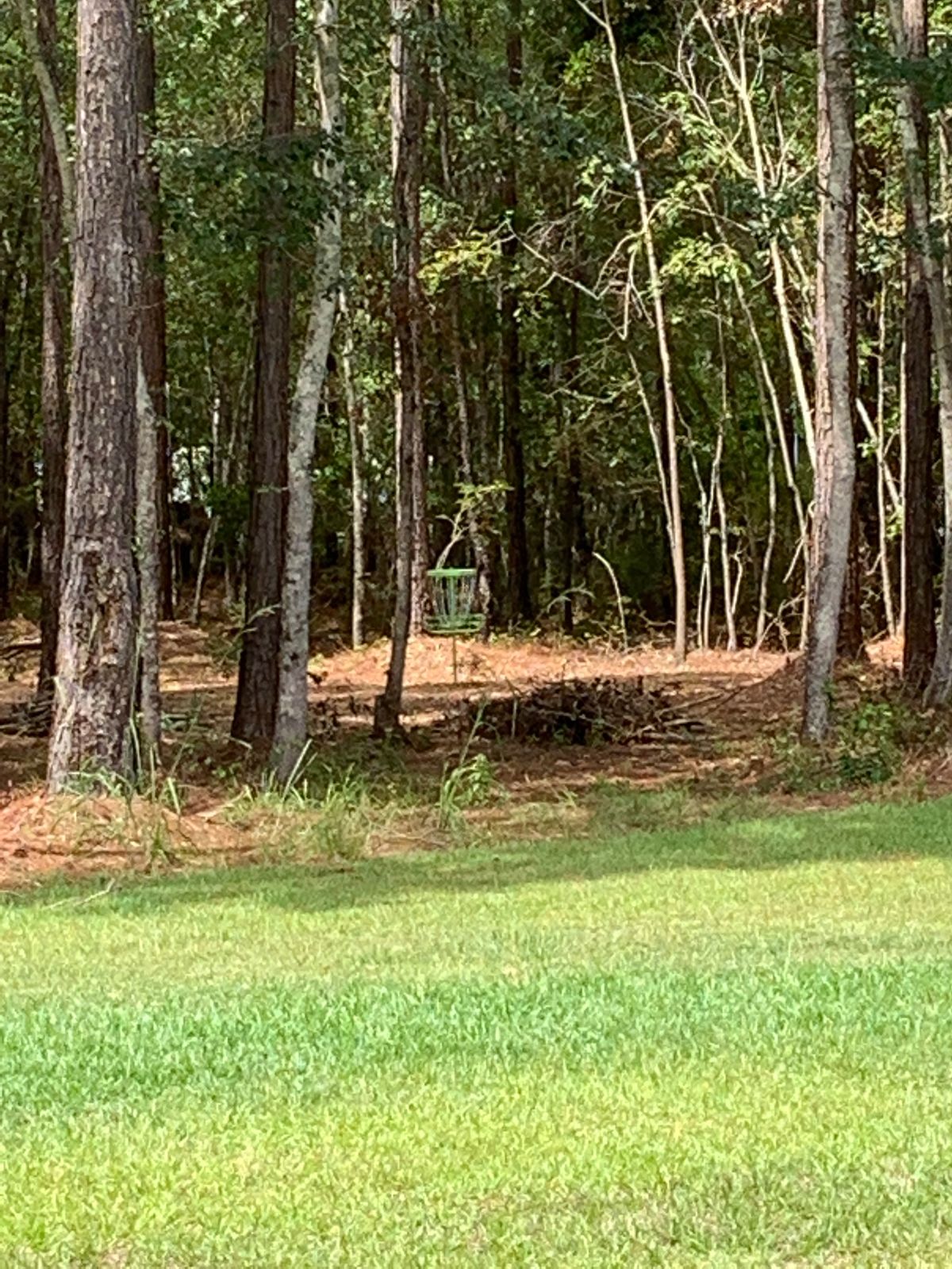Approach for hole 13, lime basket
