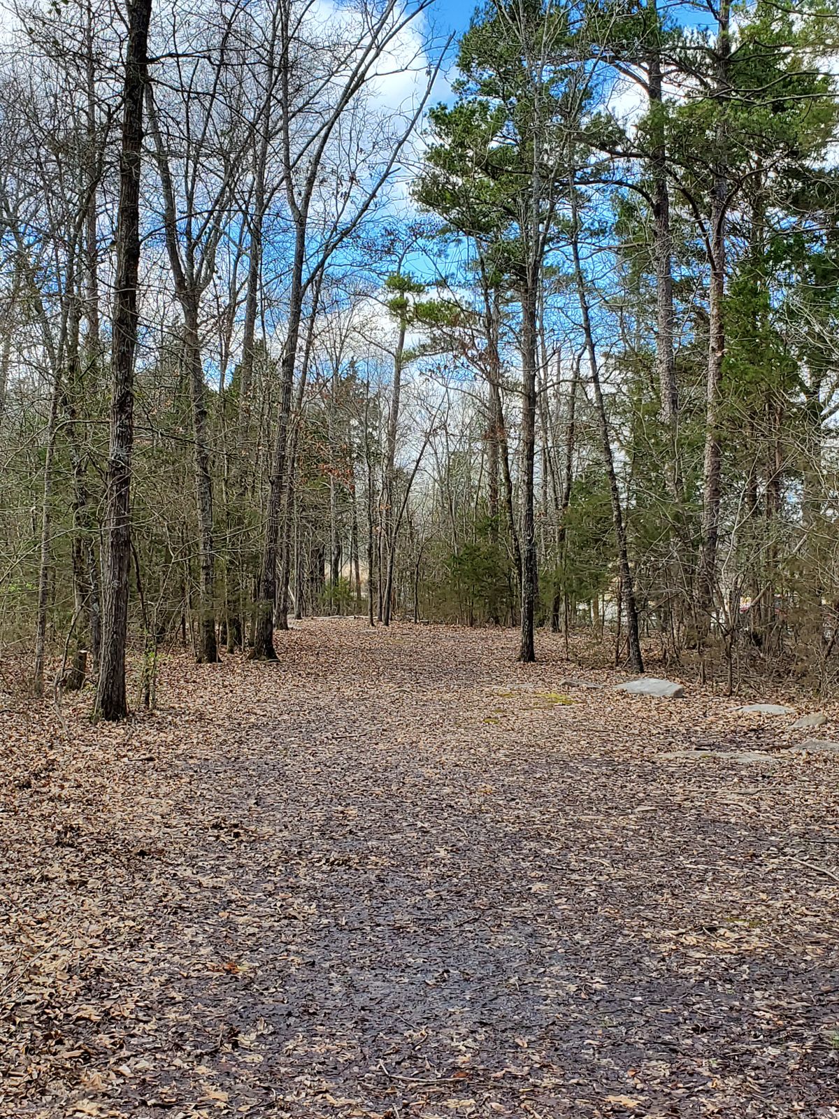 Photo from Teebox