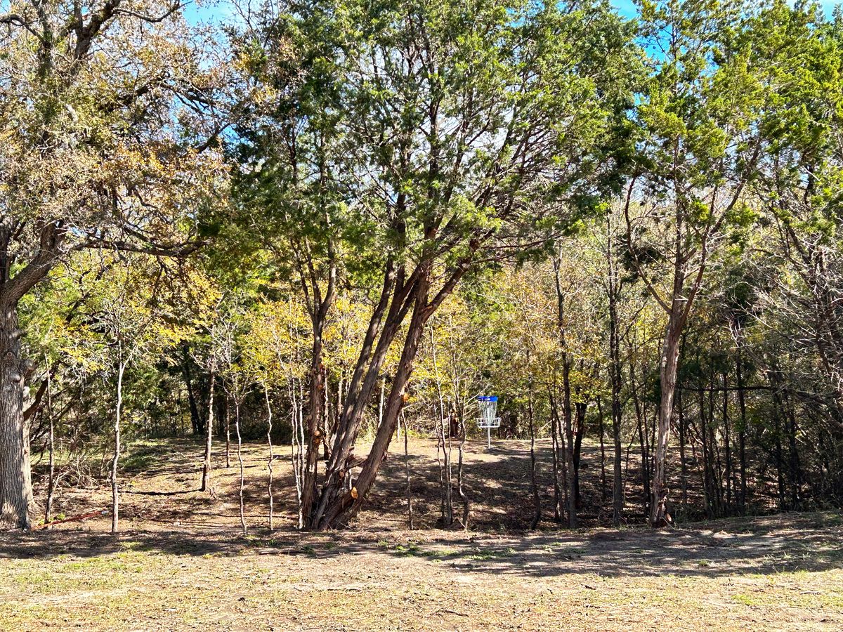Hole 5s basket!