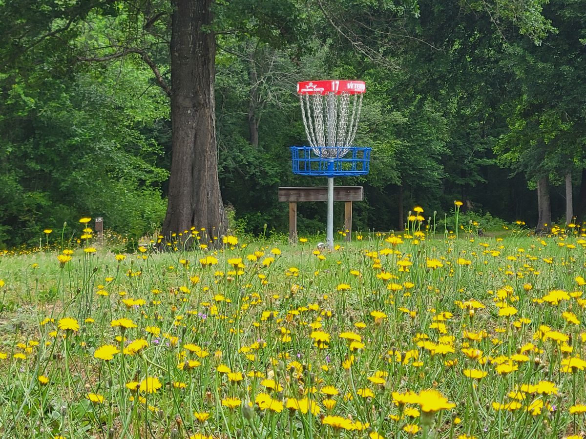 Spring 2025 hole 17