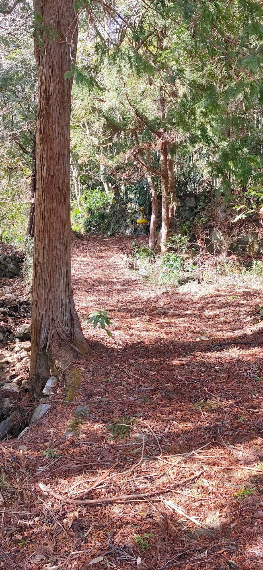 Approach to third hole.