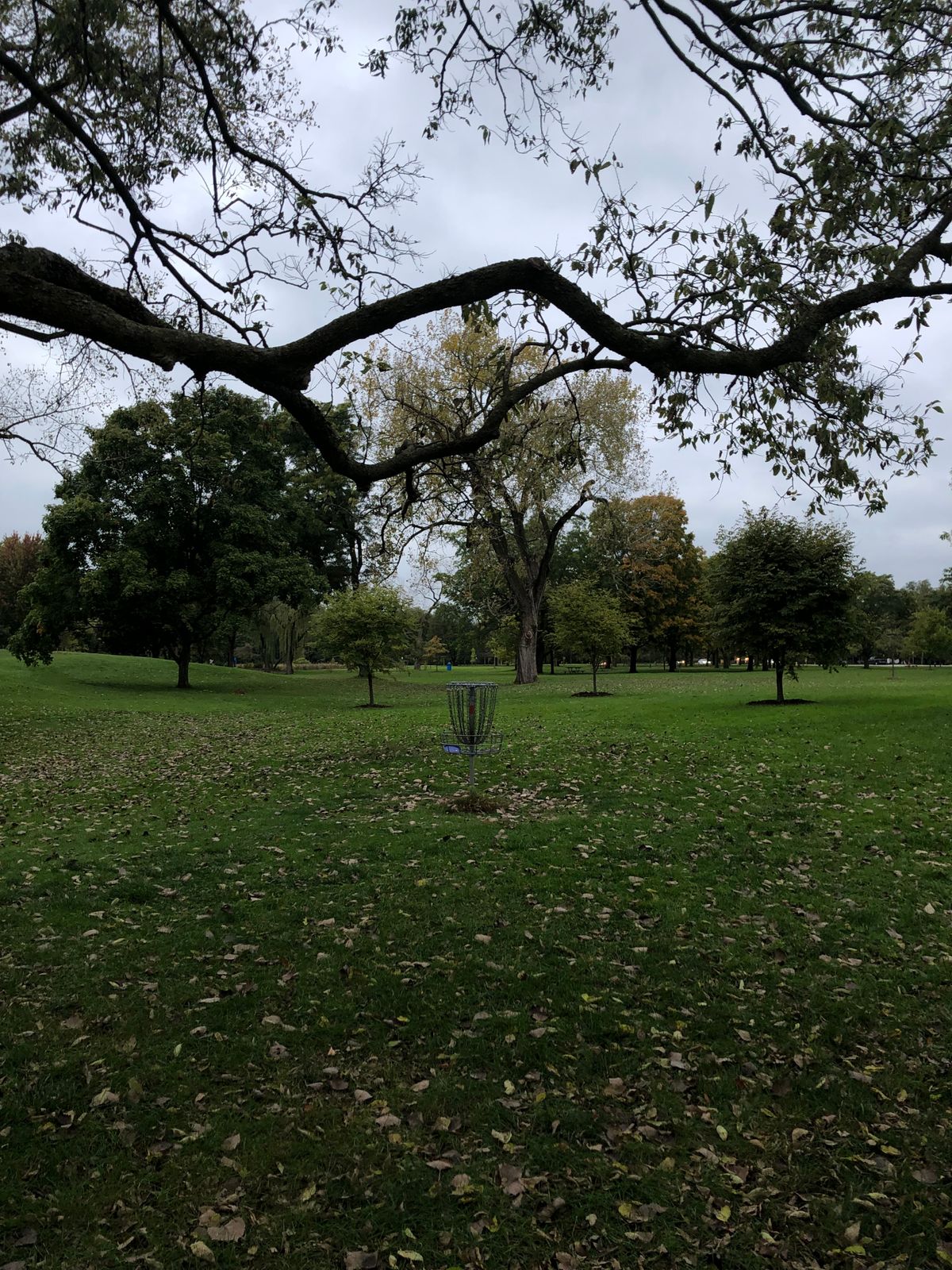 Hole 16 - Circles Edge