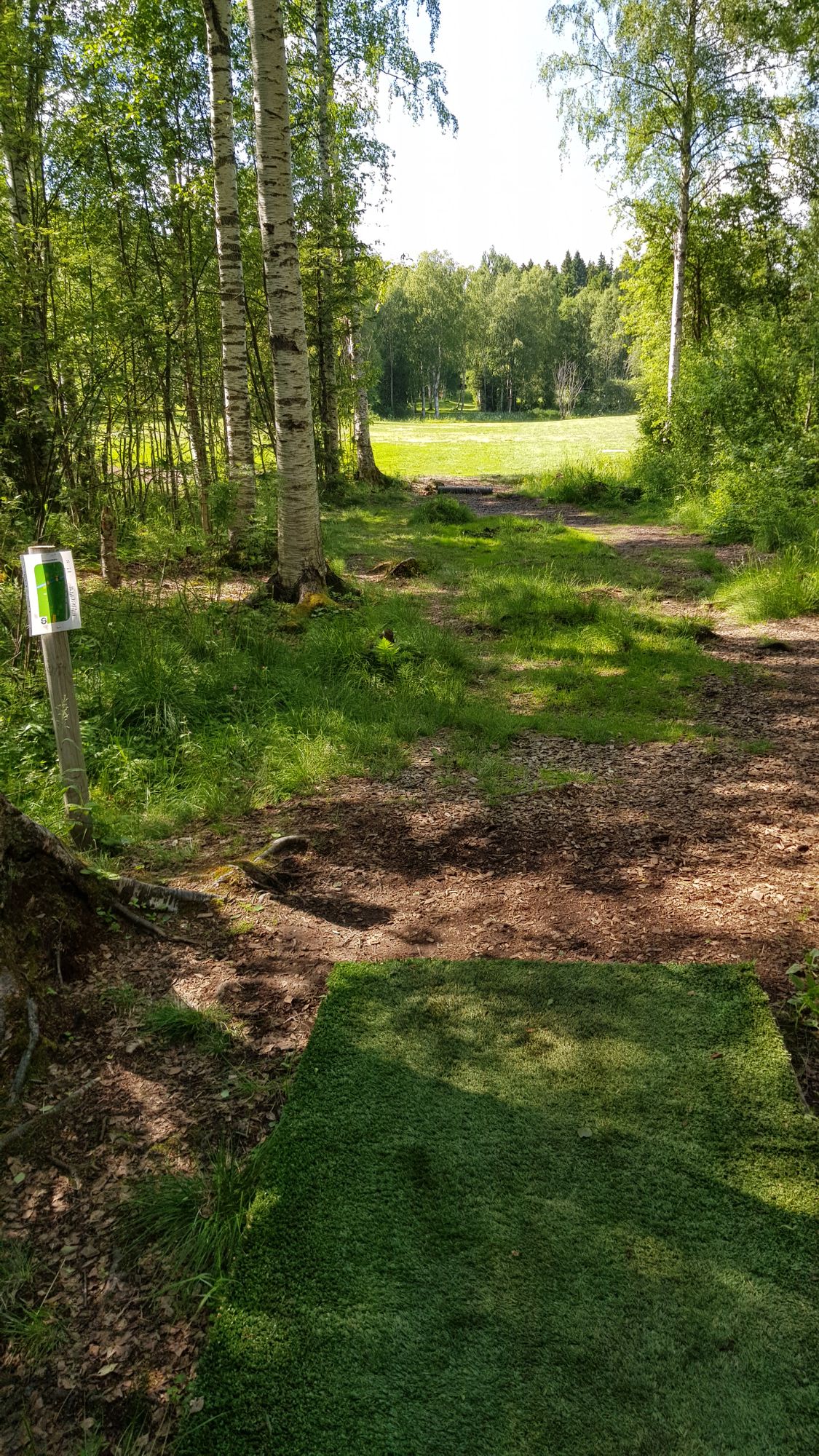 Tee 14