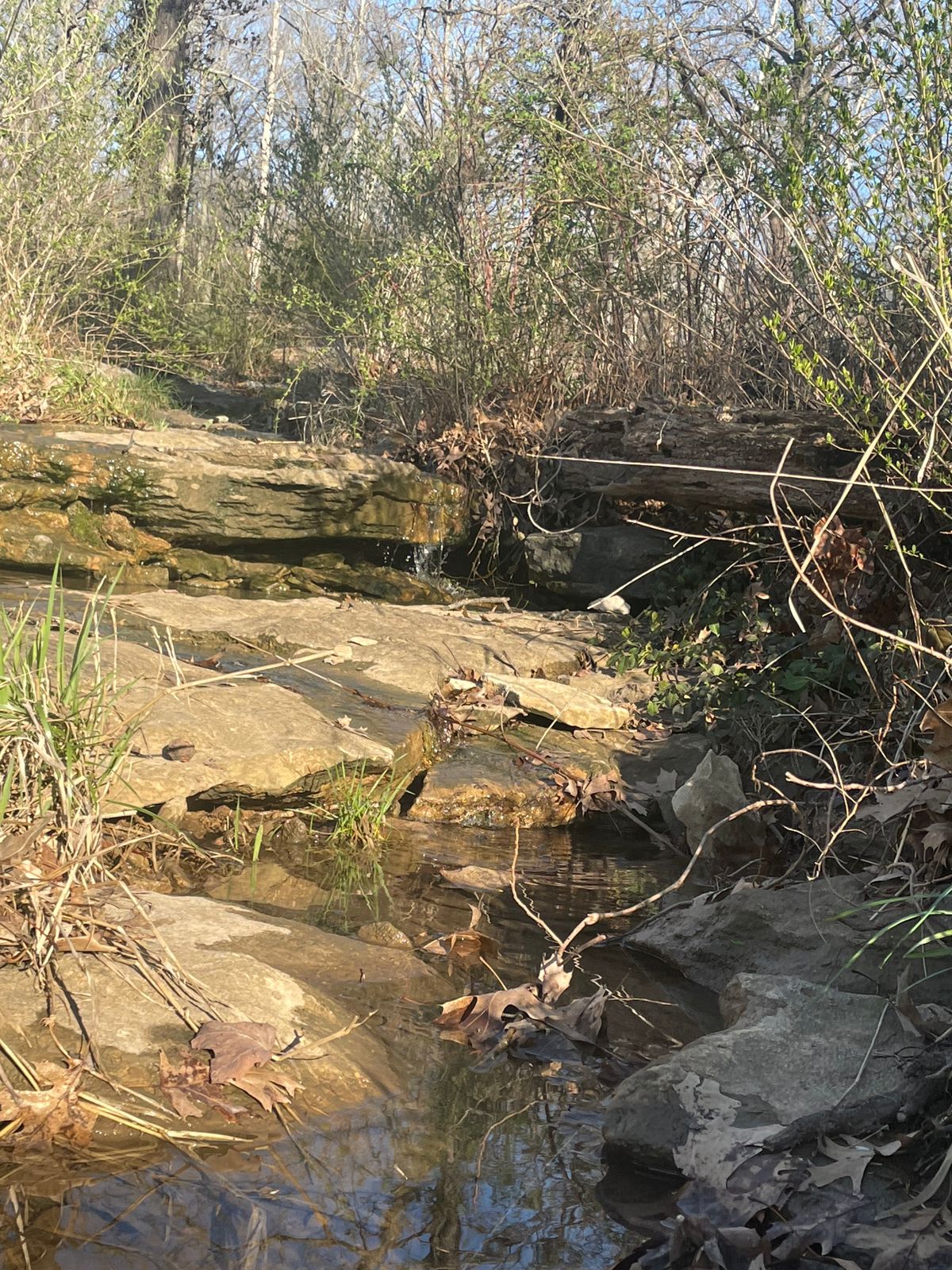 A few small rivers running through the course