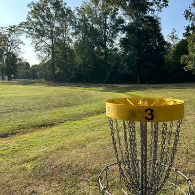 Hole 3 Basket