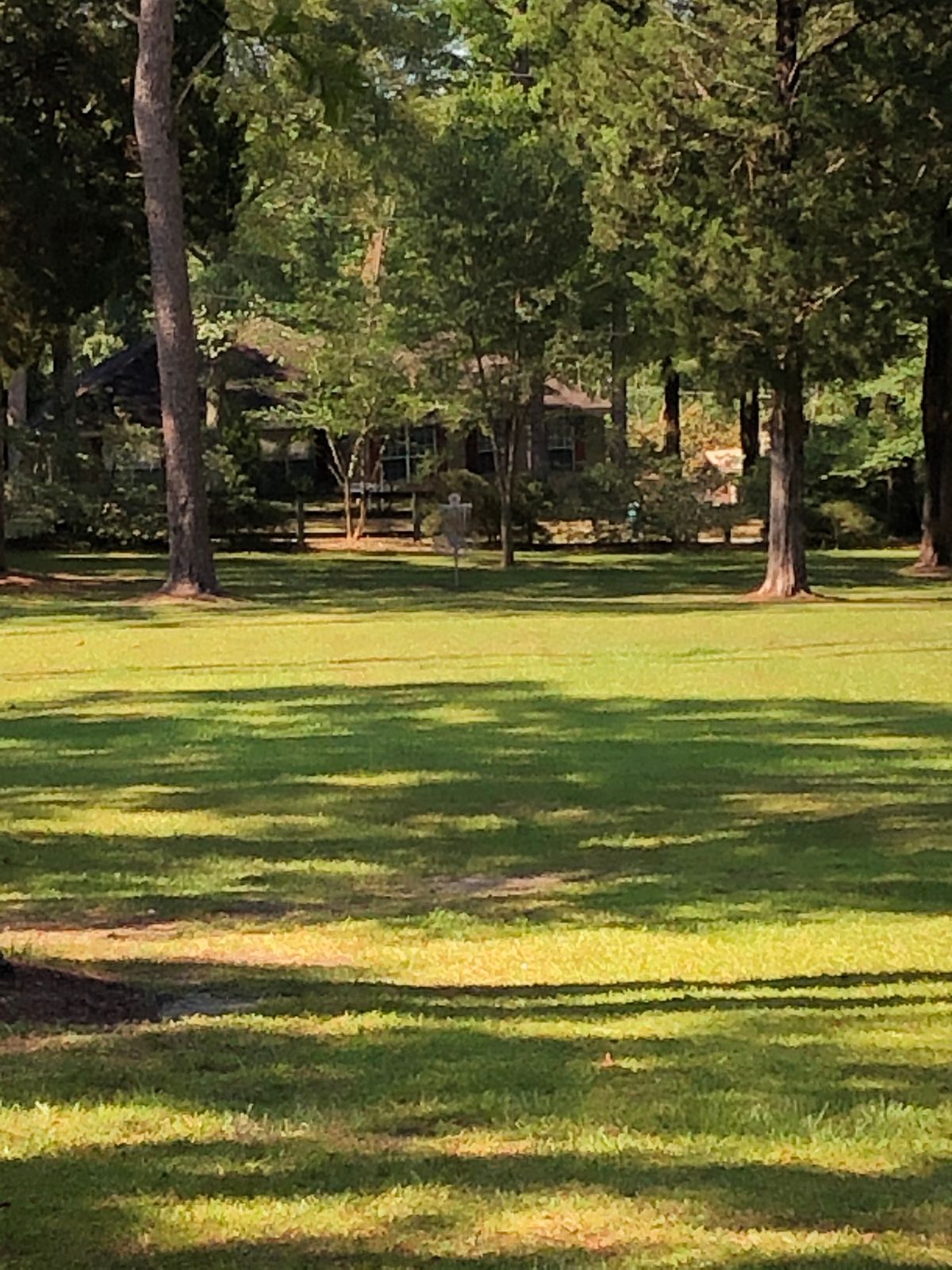 Hole 4